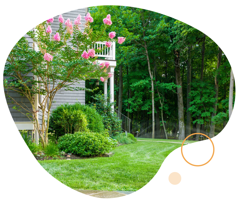 WANT-SEE-MORE-1-graphic