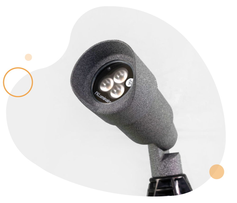 WANT-SEE-MORE-2-graphic